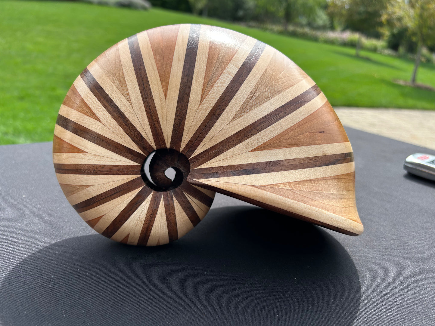Nautilus Shell