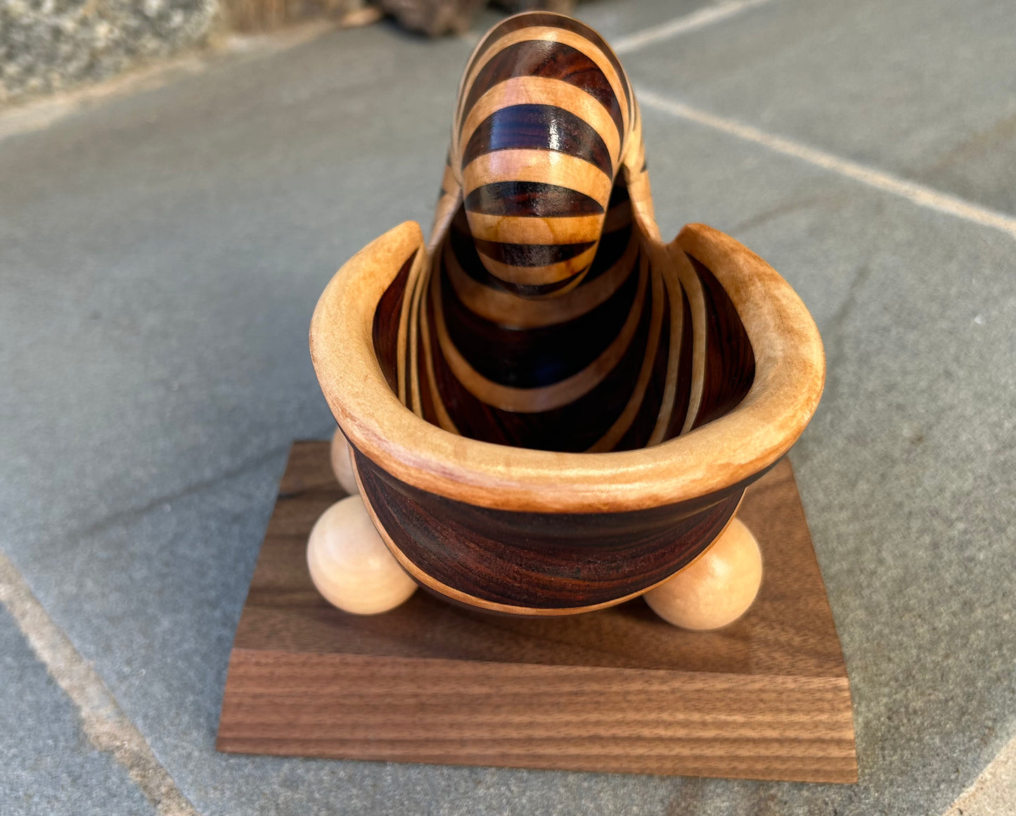 Cocobolo Nautilus Shell