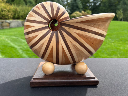 Nautilus Shell