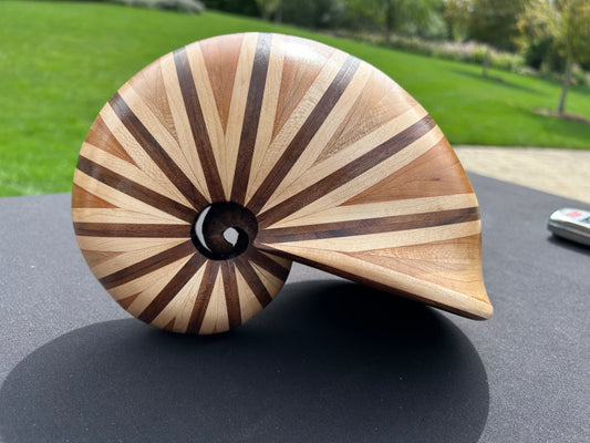 Nautilus Shell