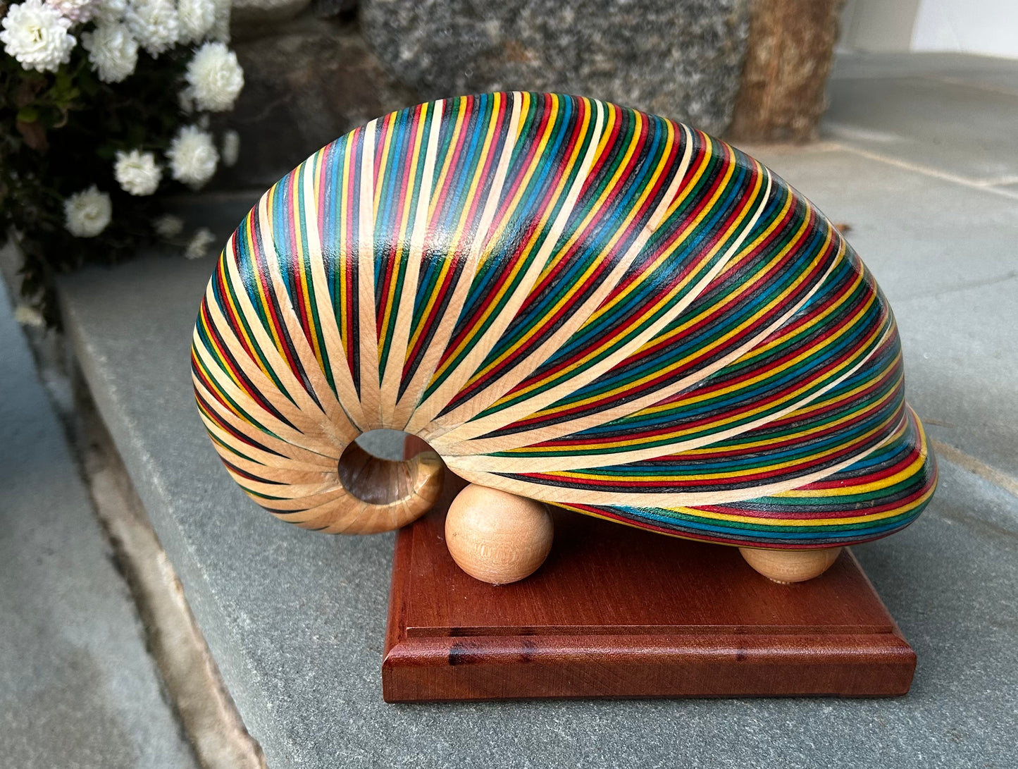 Baltic Birch and SpectraPly Multi-color Shell