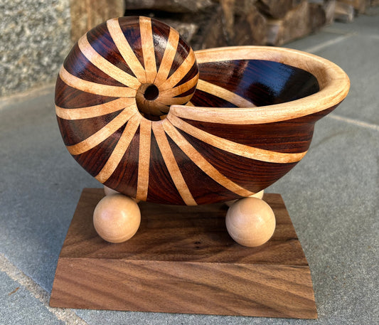 Cocobolo Nautilus Shell