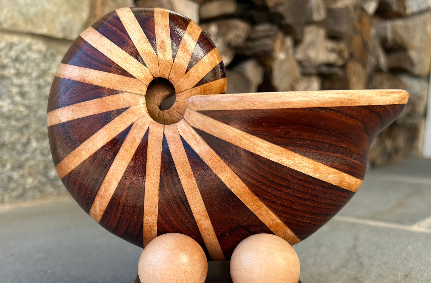 Cocobolo Nautilus Shell
