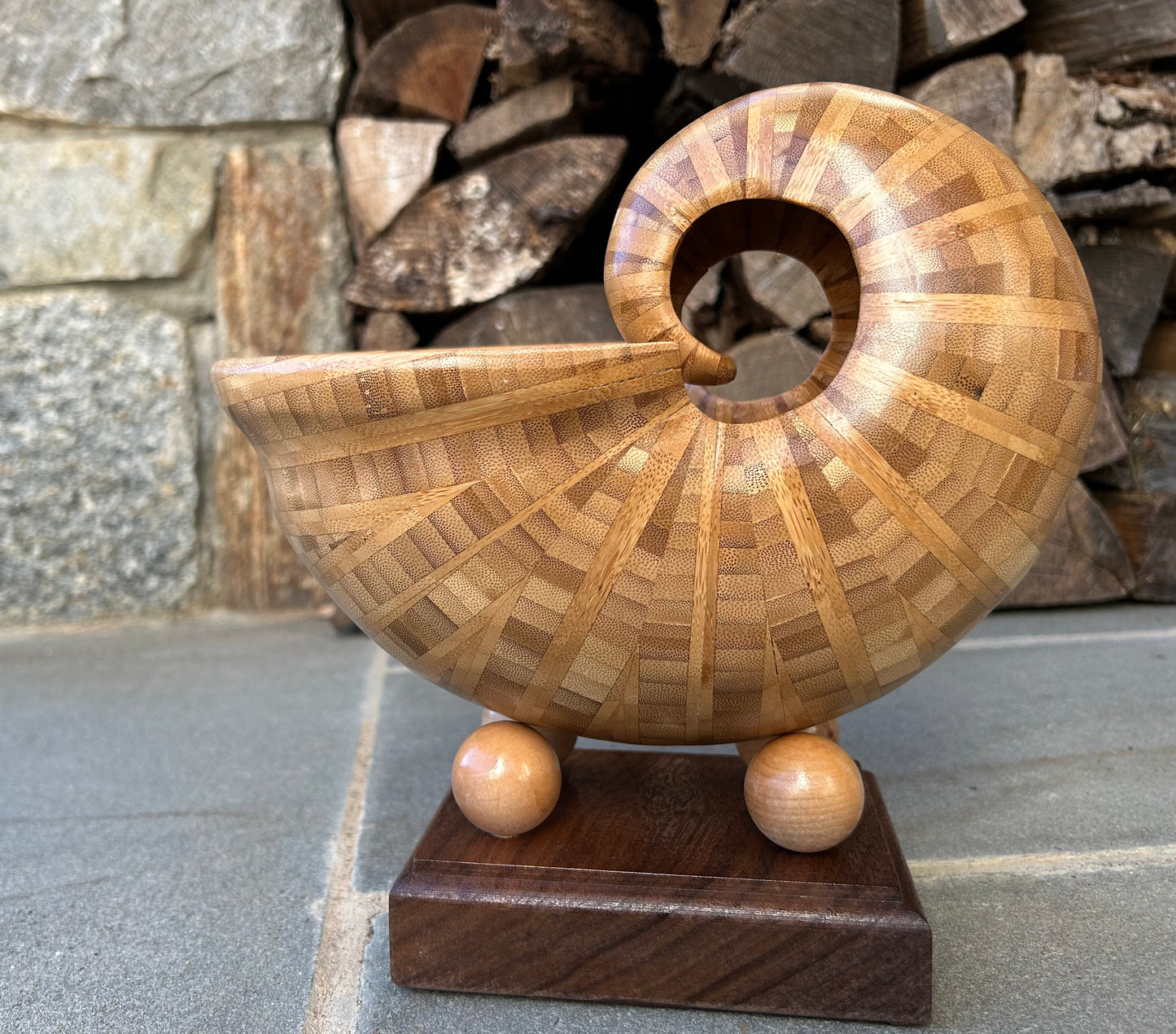 Bamboo Nautilus Shell