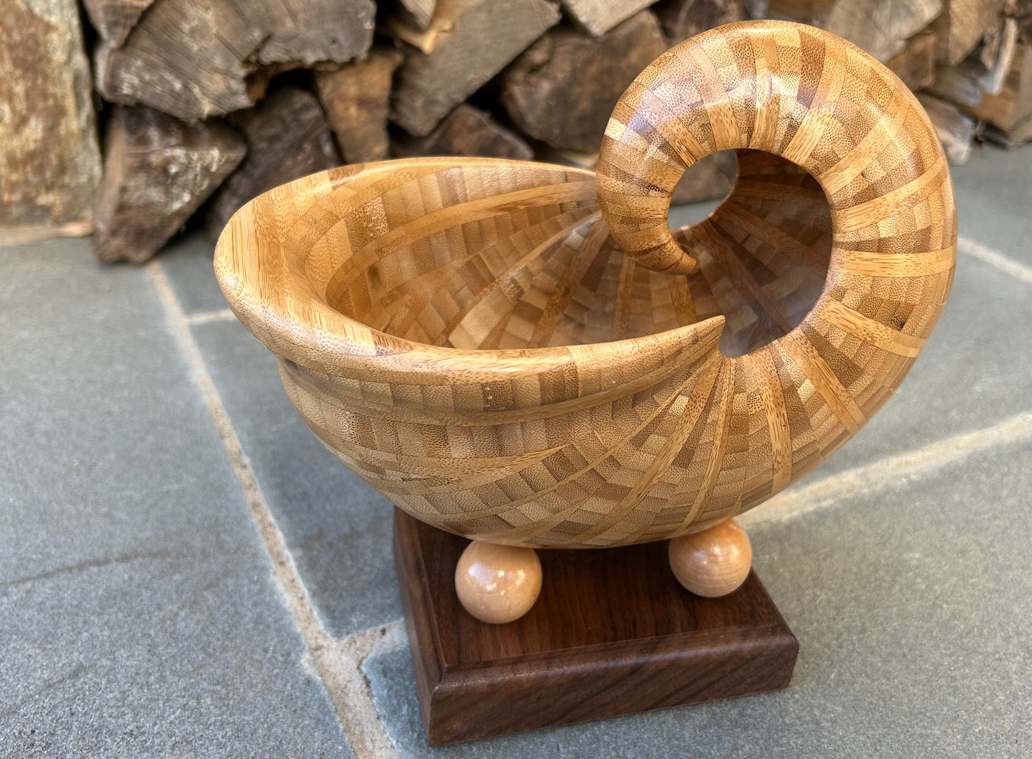 Bamboo Nautilus Shell