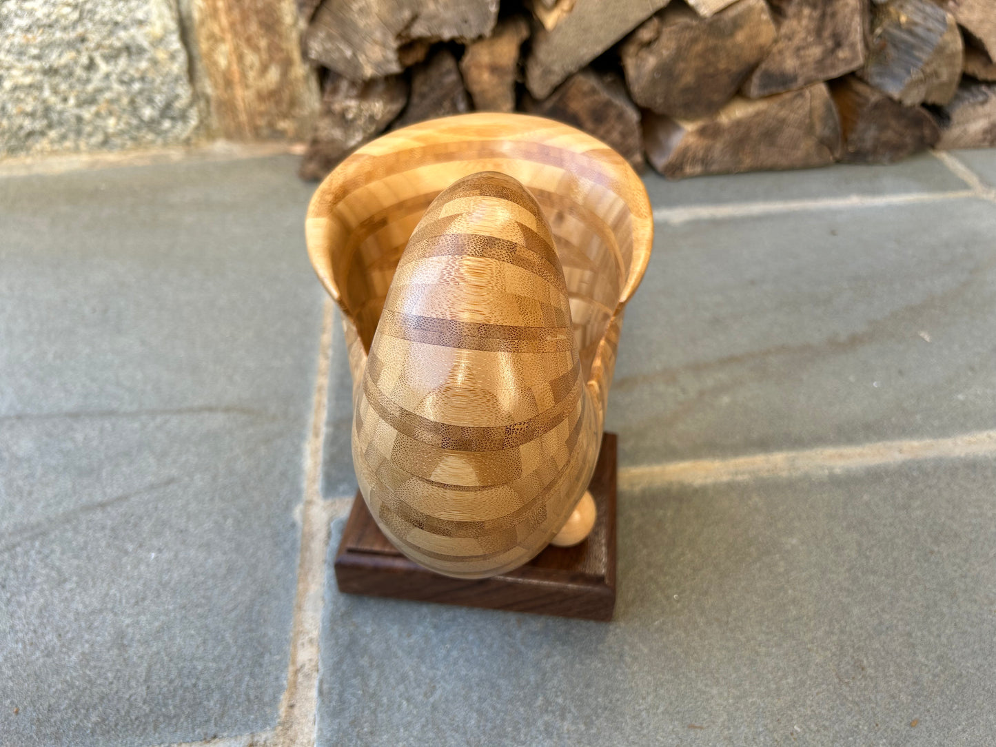 Bamboo Nautilus Shell