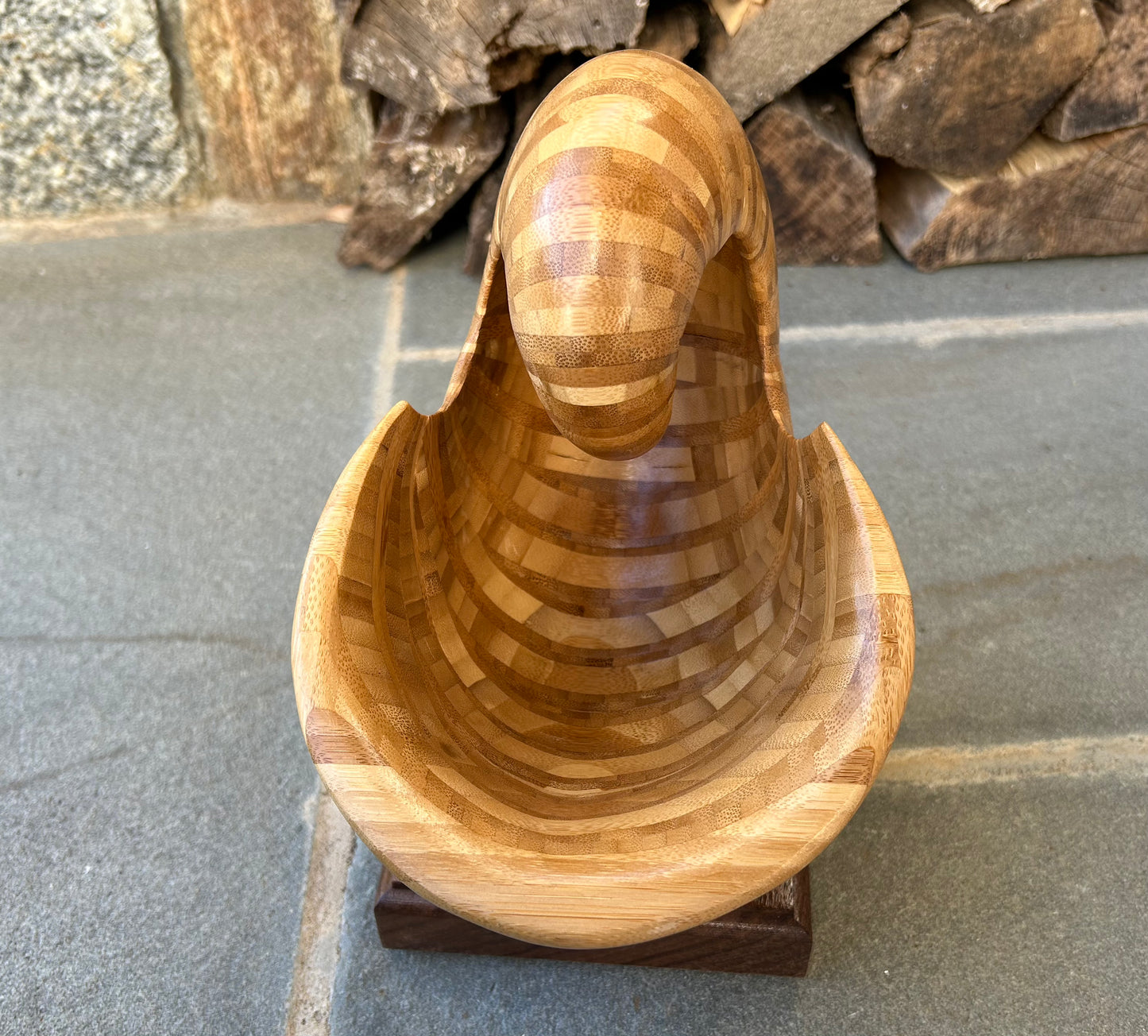 Bamboo Nautilus Shell