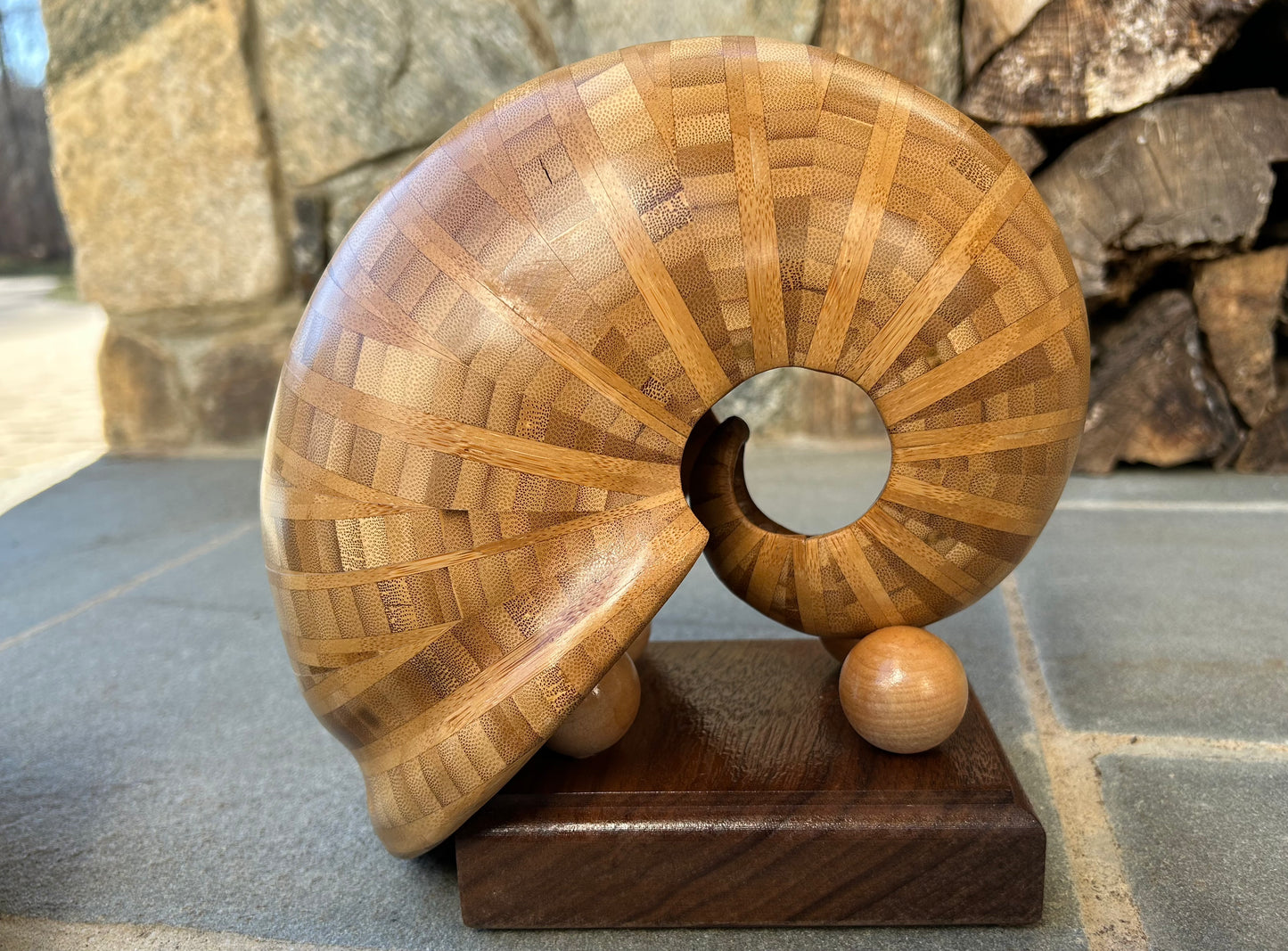 Bamboo Nautilus Shell