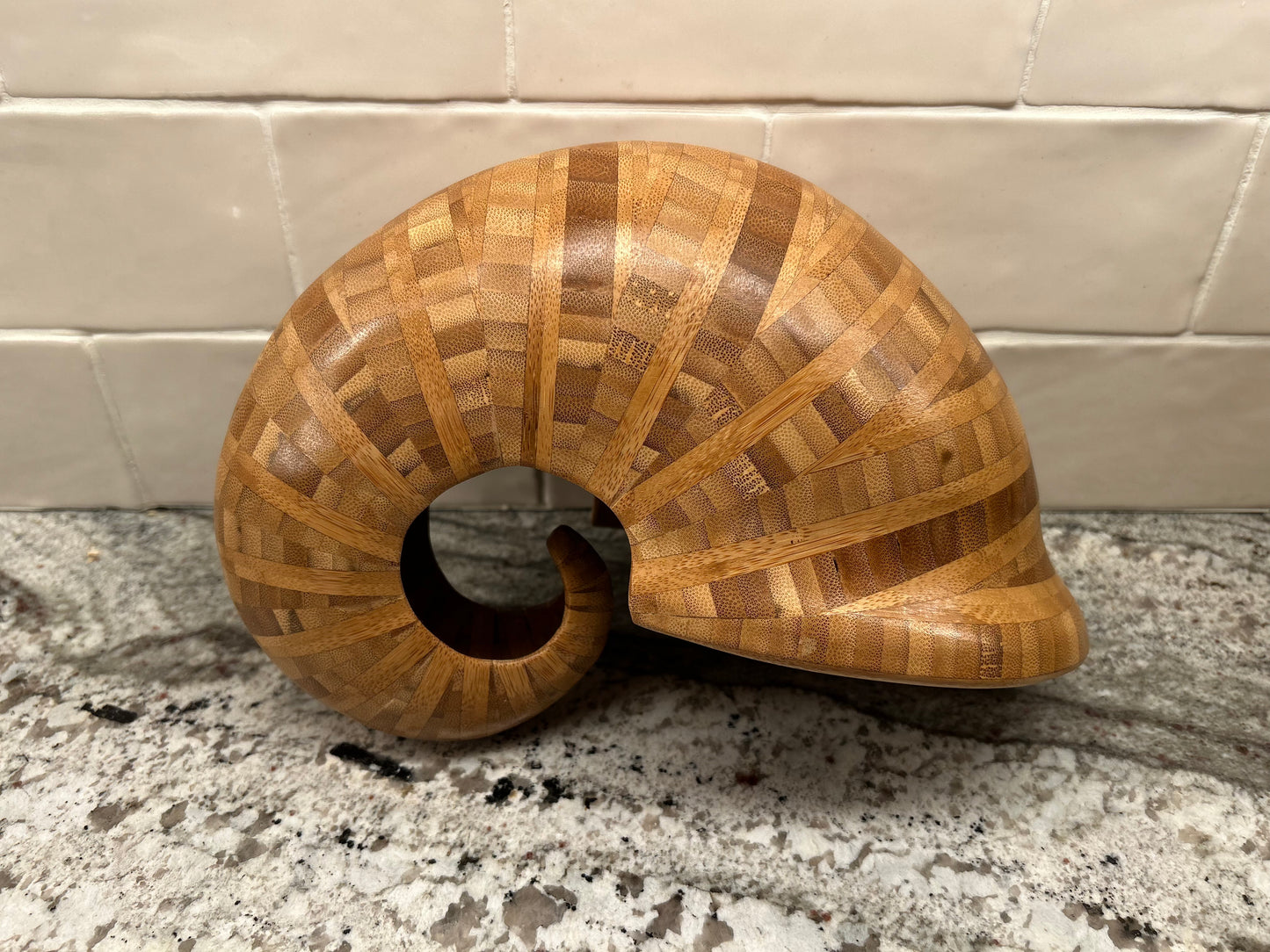 Nautilus Shell