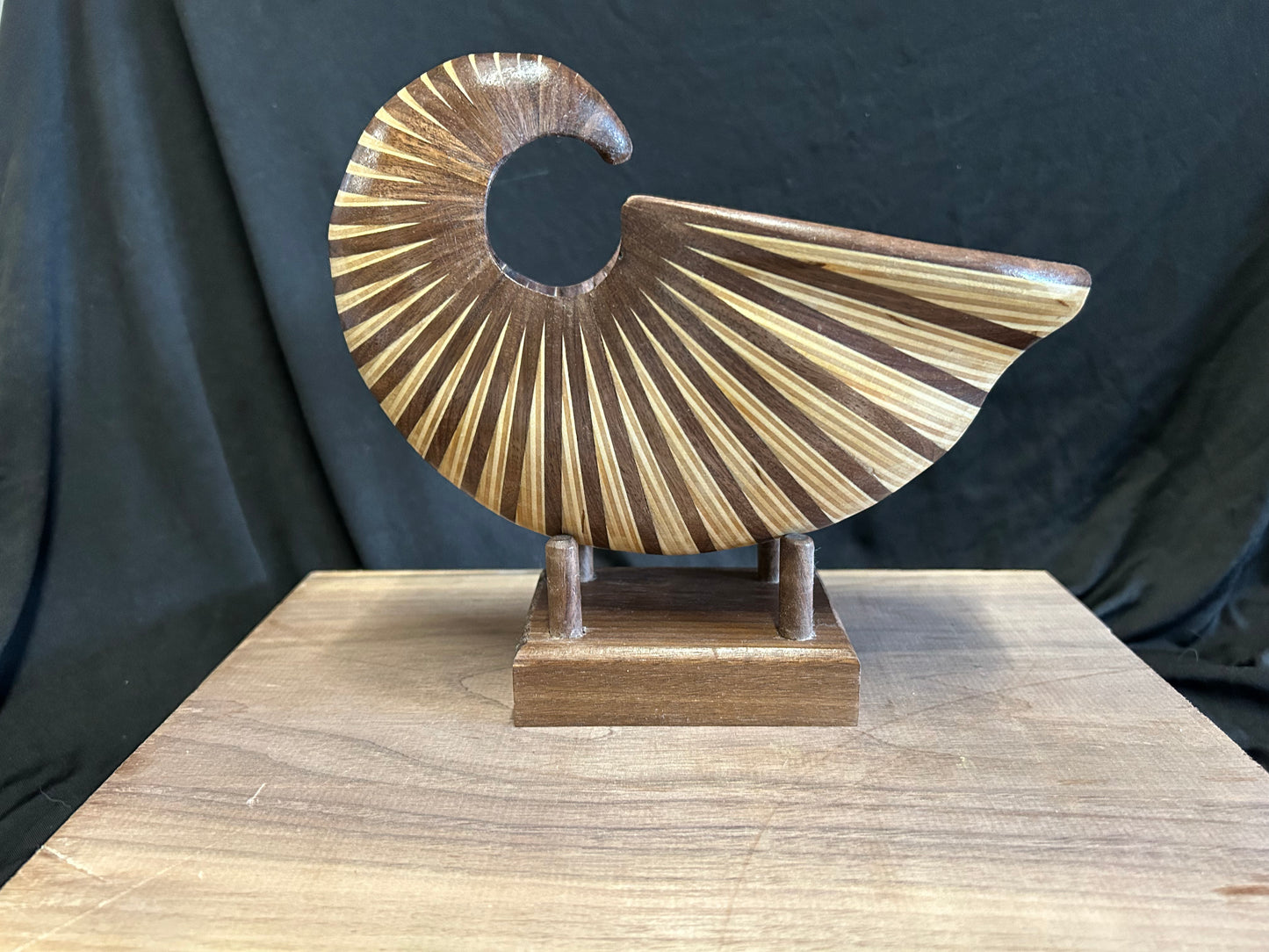 Walnut and Baltic Birch Nautilus Shell