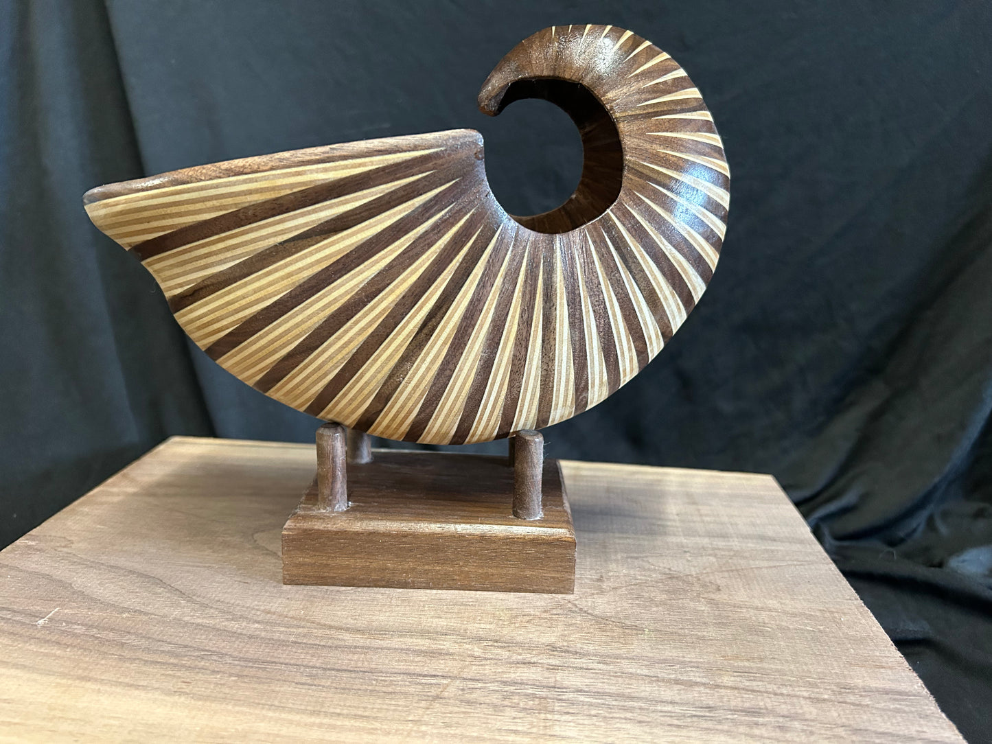 Walnut and Baltic Birch Nautilus Shell