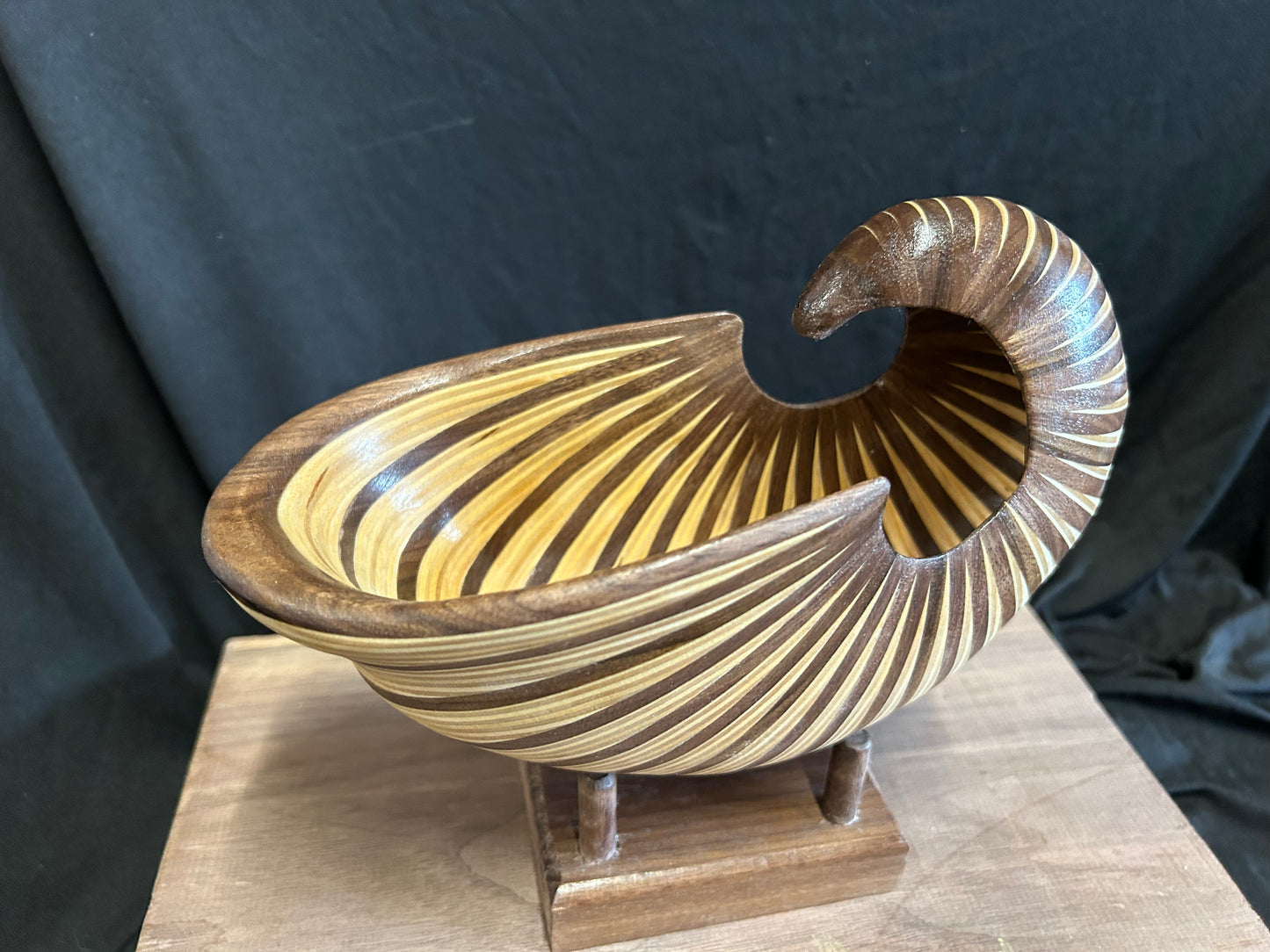 Walnut and Baltic Birch Nautilus Shell