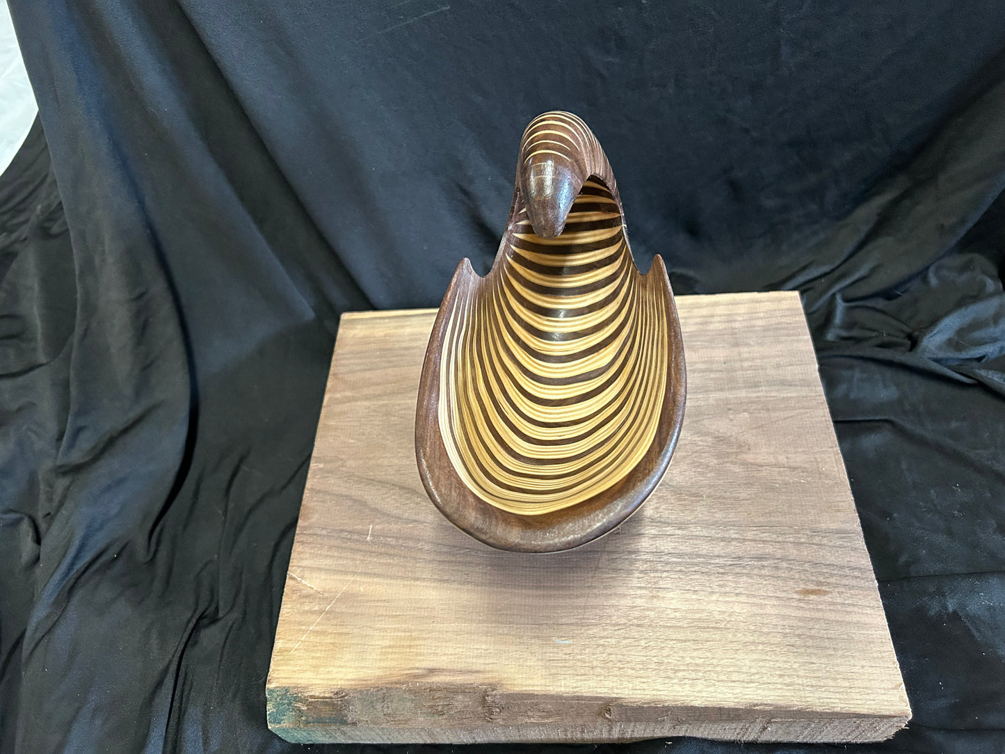 Walnut and Baltic Birch Nautilus Shell