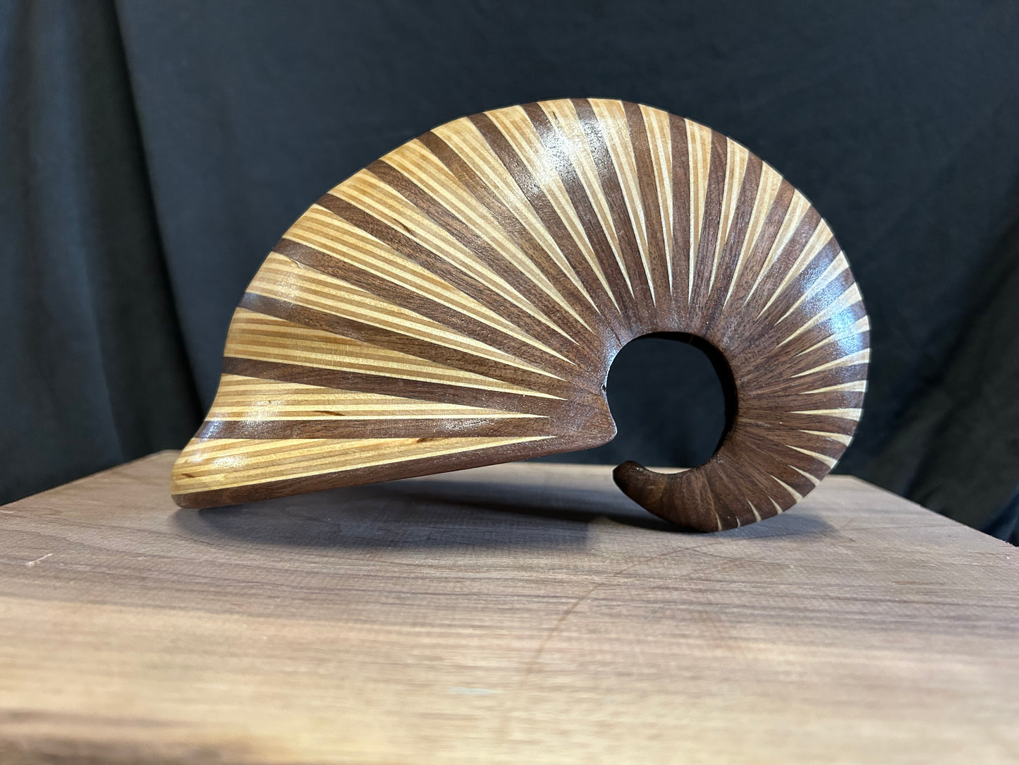 Walnut and Baltic Birch Nautilus Shell