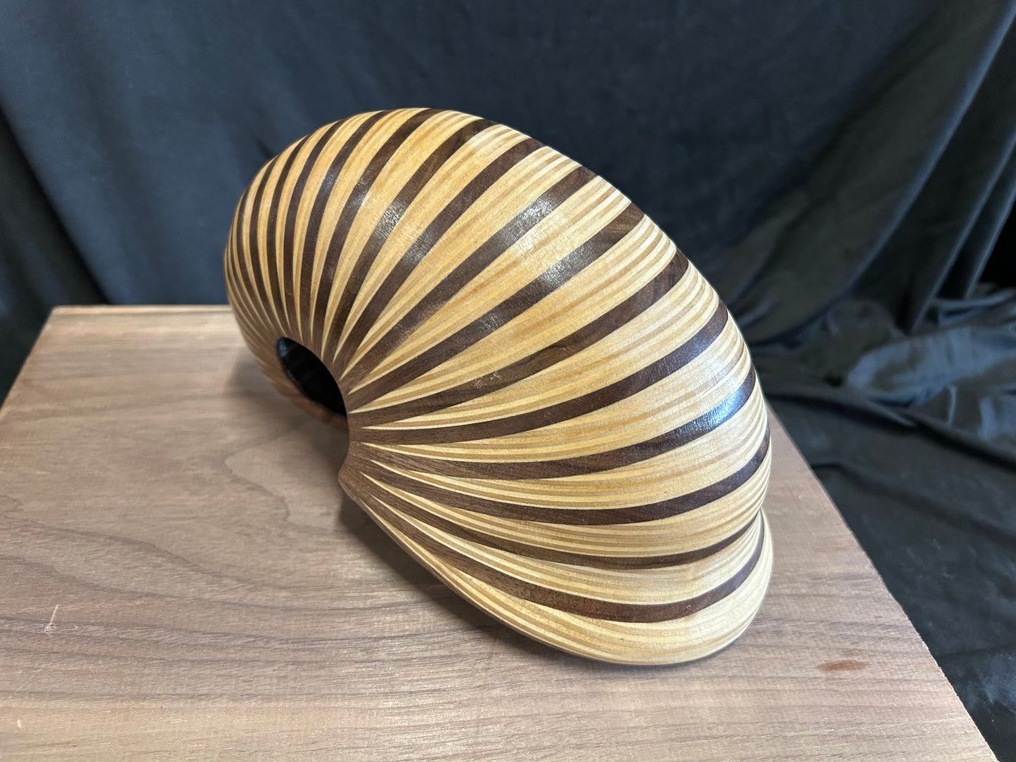 Walnut and Baltic Birch Nautilus Shell