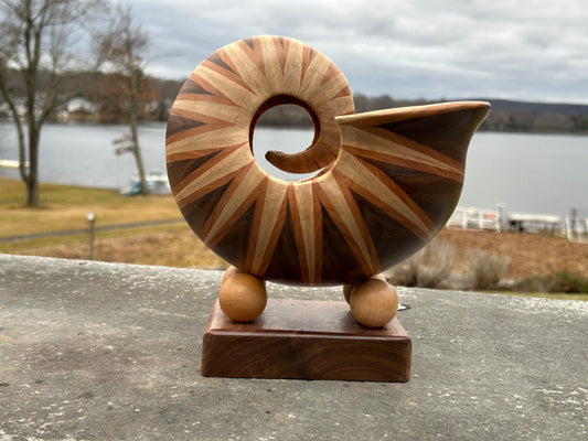 Large Nautilus Shell